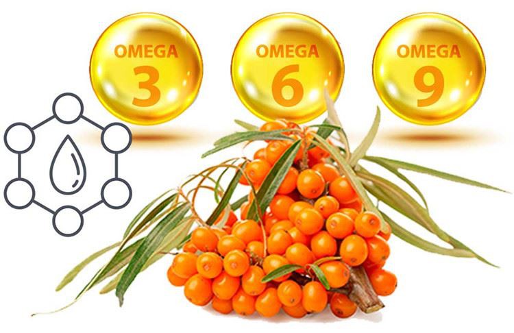 Sea Buckthorn Omega Sea Buckthorn Omega