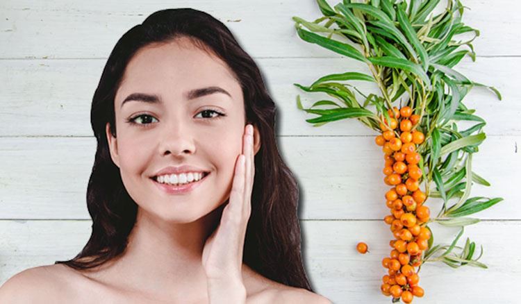Sea buckthorn benefits for skin and hair Sea buckthorn benefits for skin and hair