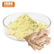 Estratto di zenzero in polvere 5% gingerolo