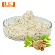 Panax notoginseng estratto in polvere