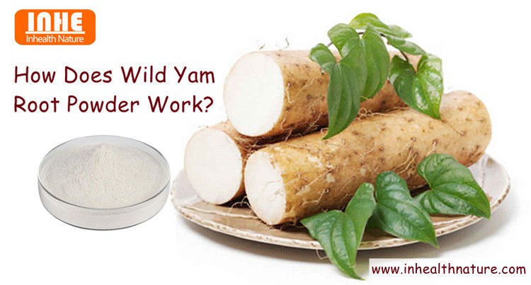 How Does Wild Yam Root Powder Work